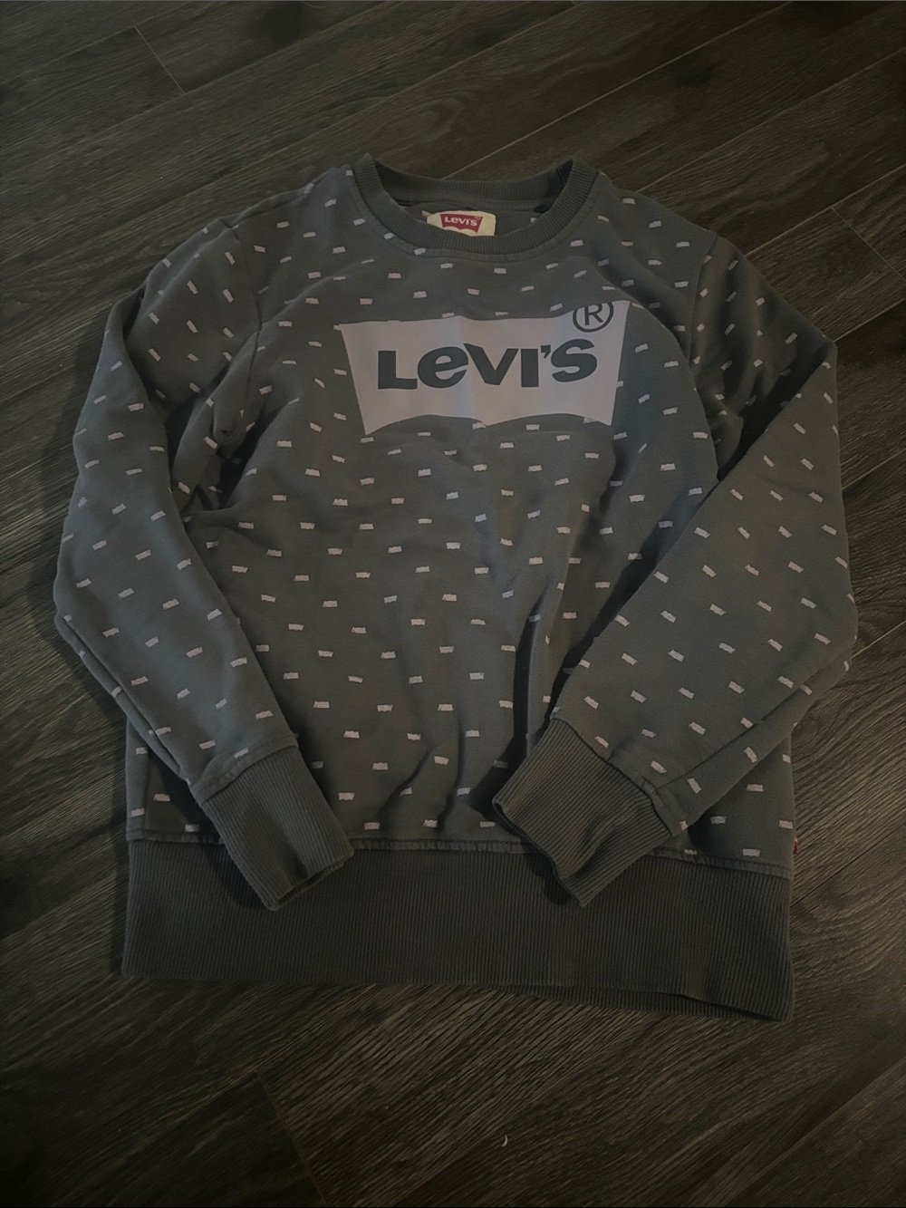 Levi’s sweatshirt
